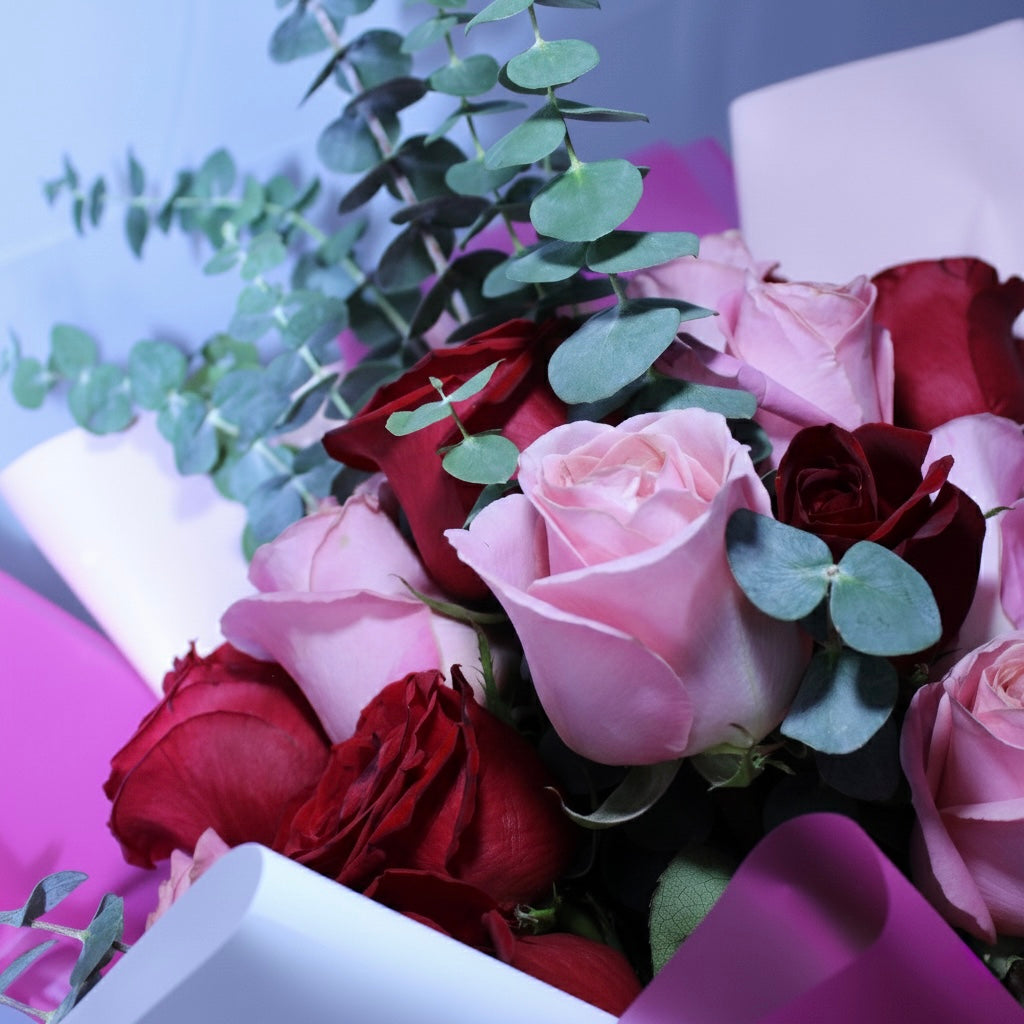 Promesa Rosa