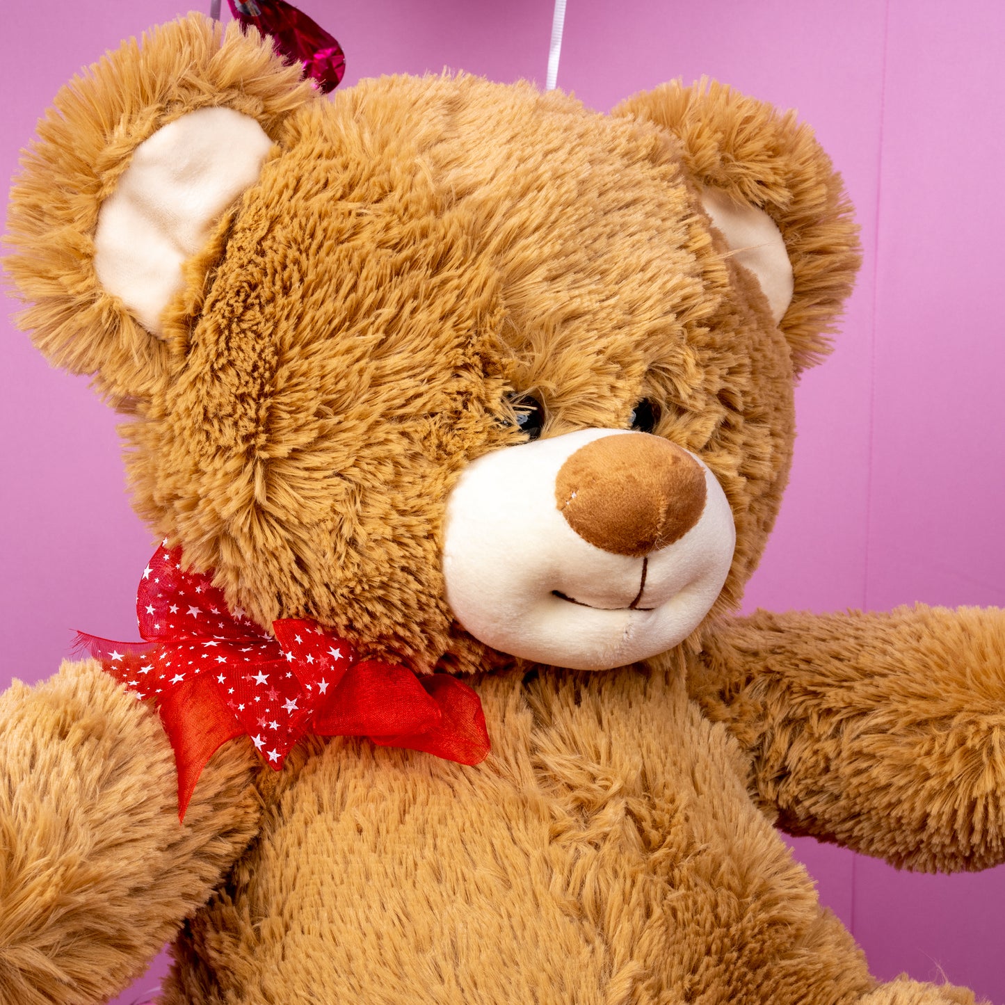 Combo Oso Peluche Parche 1