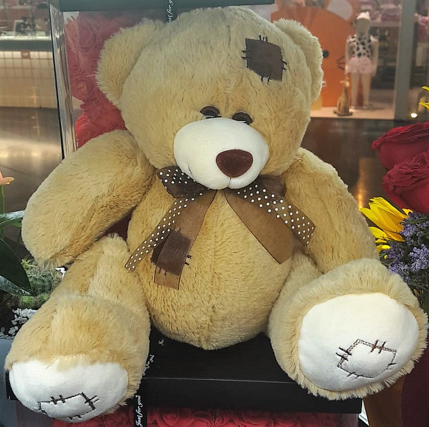 Teddy mediano
