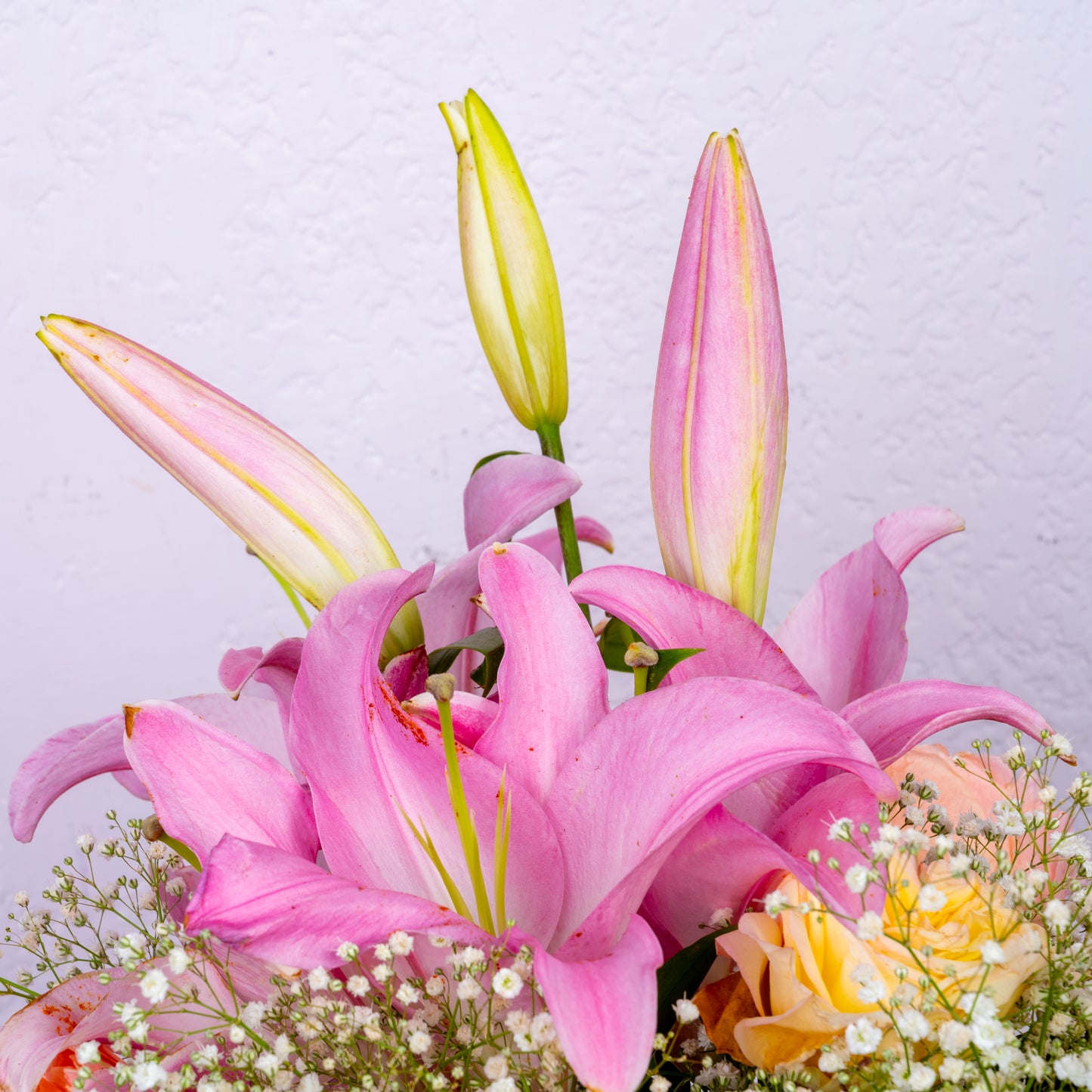 Rosas de mi Corazón