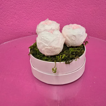 Peonia preservada