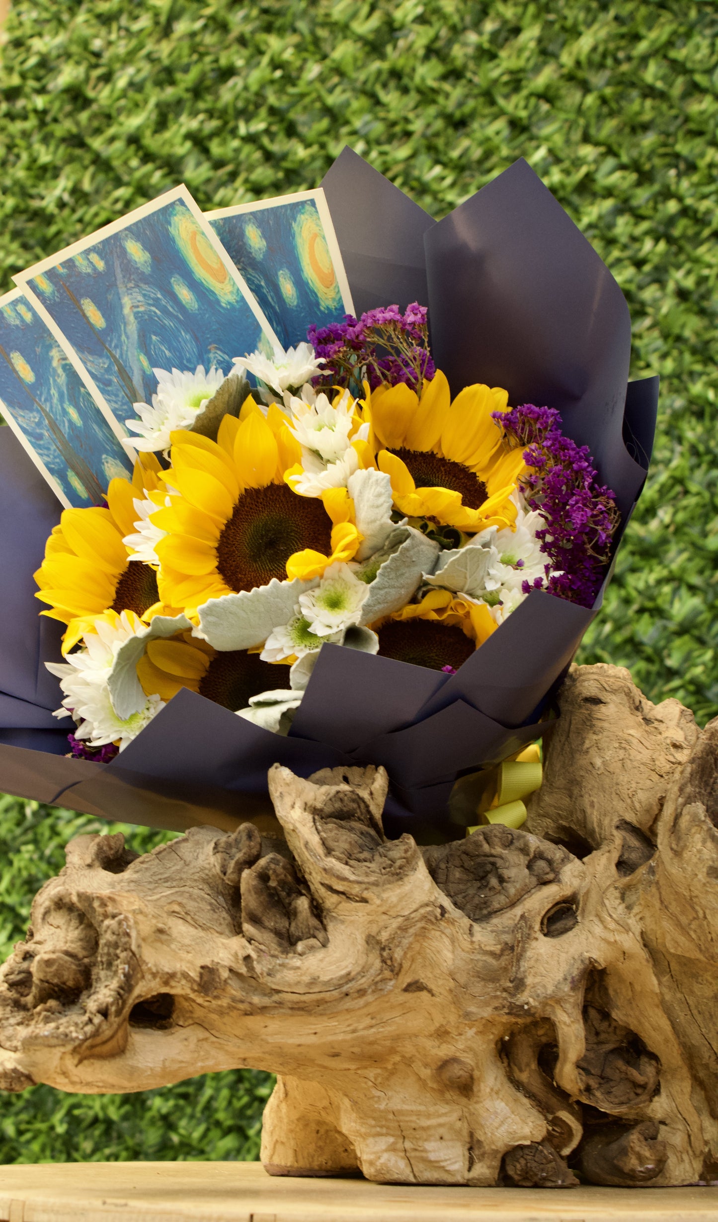 RAMO VAN GOGH