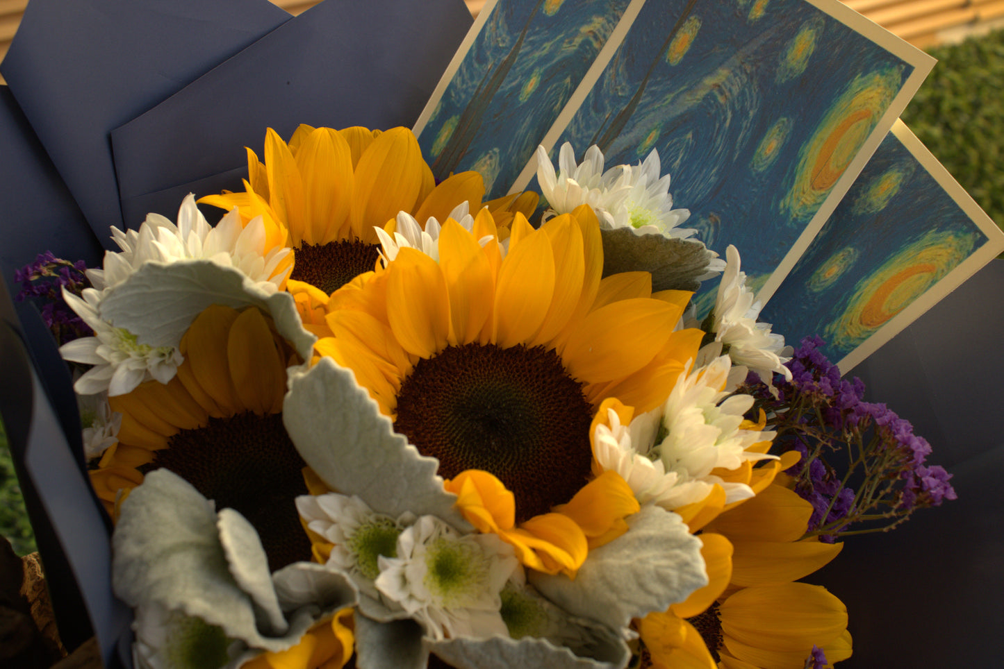 RAMO VAN GOGH