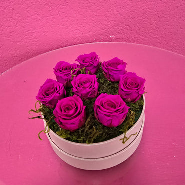 Rosas baby preservadas