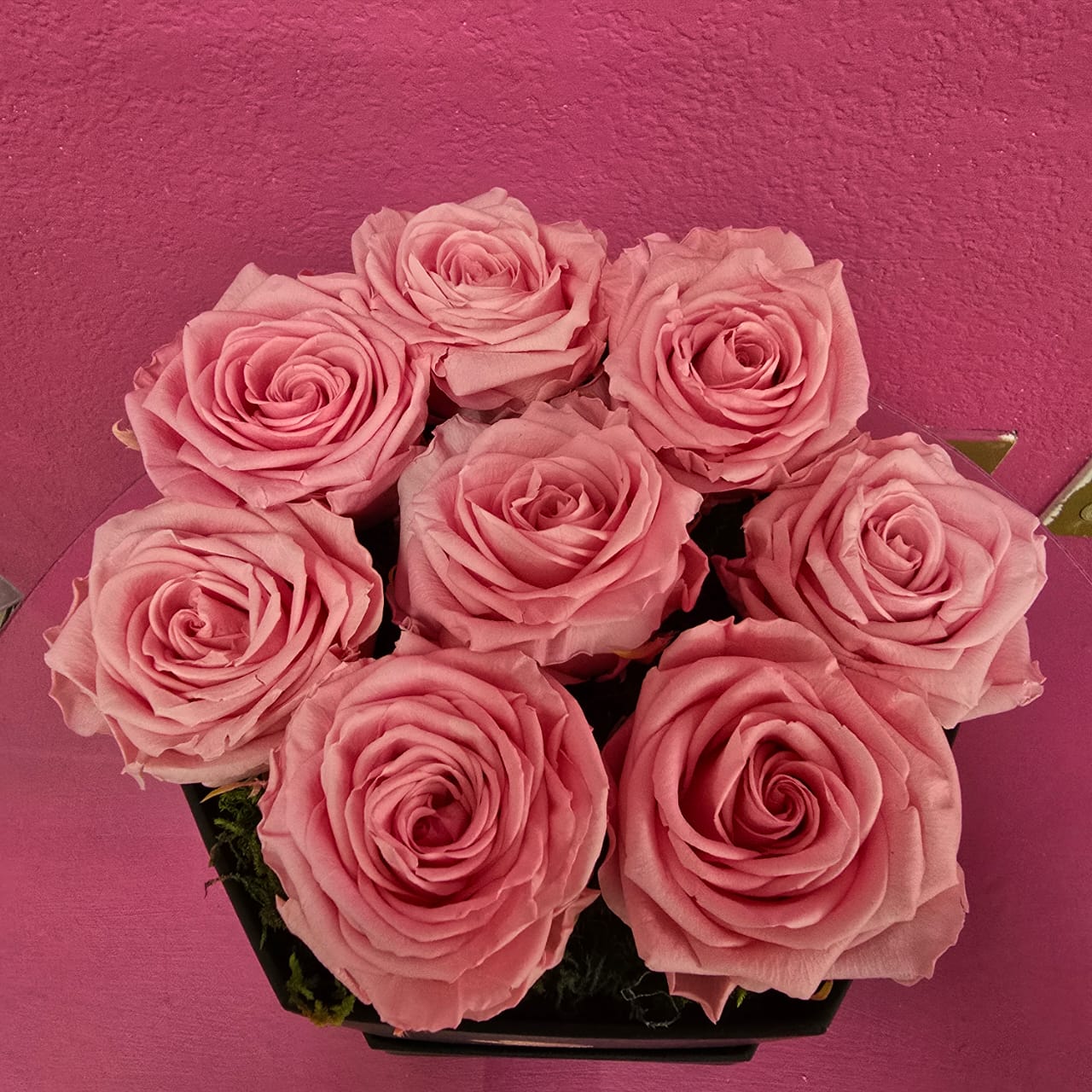 Rosas grandes preservadas en hexágono