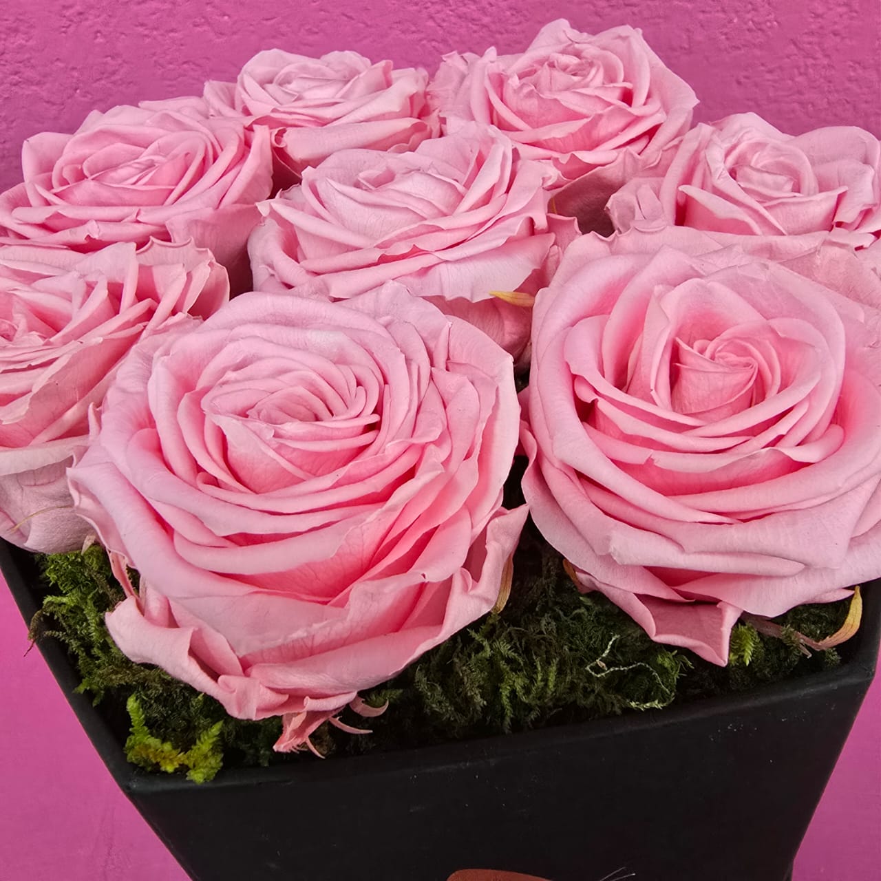 Rosas grandes preservadas en hexágono