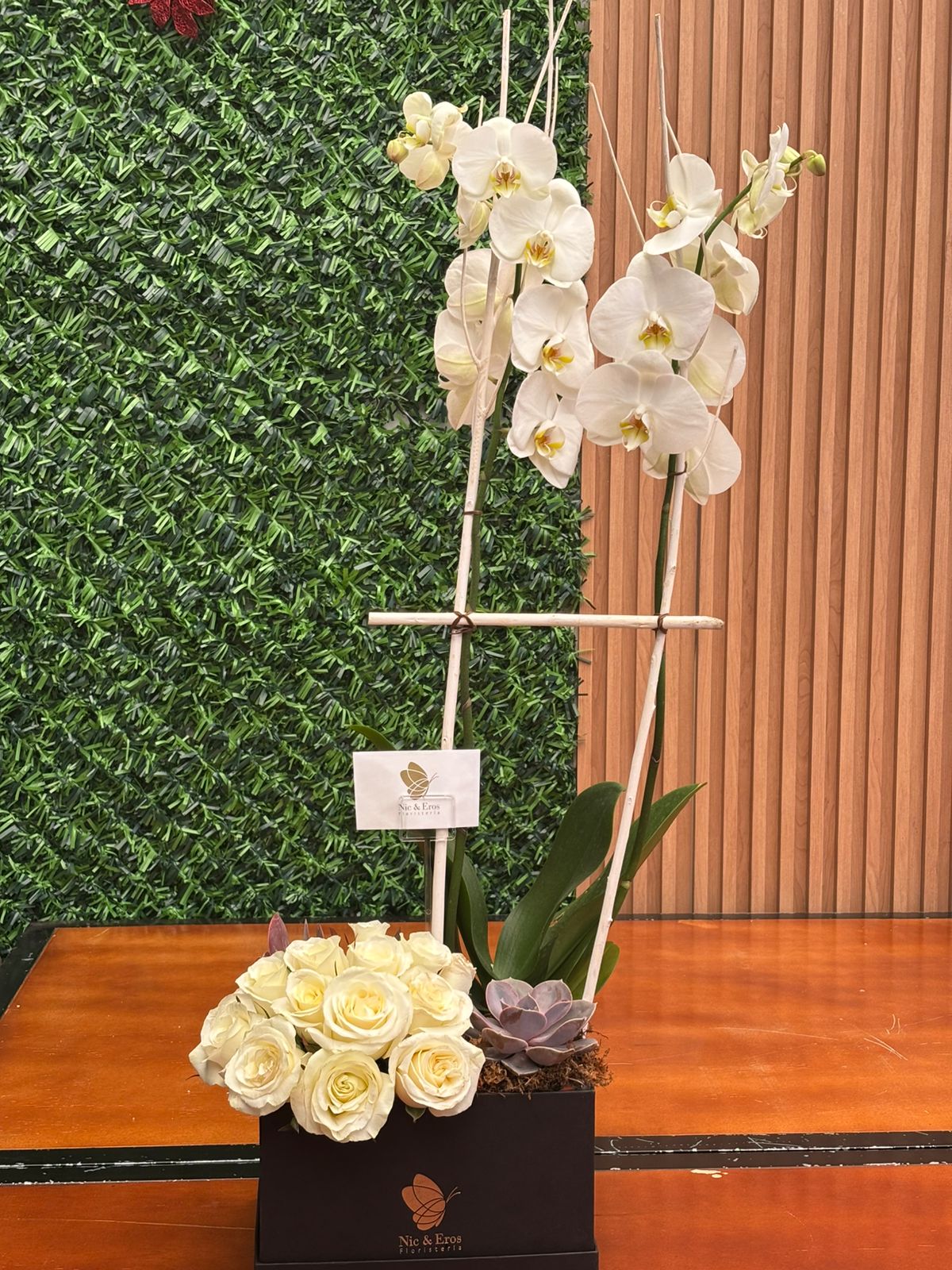 Luz de Orquidea
