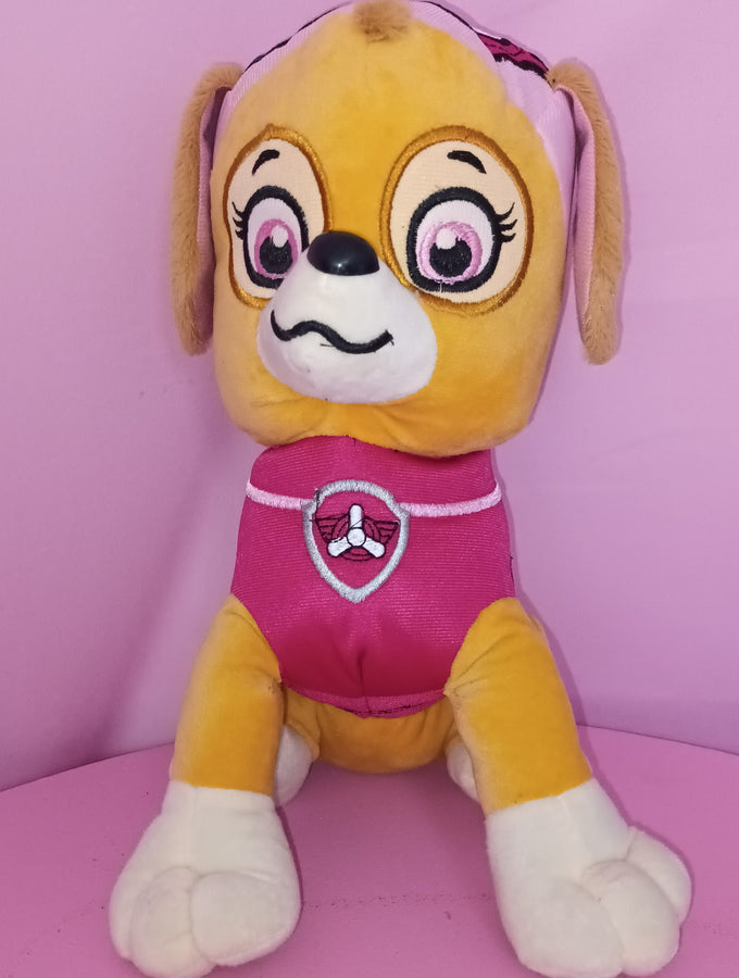 Paw Patrol Sky