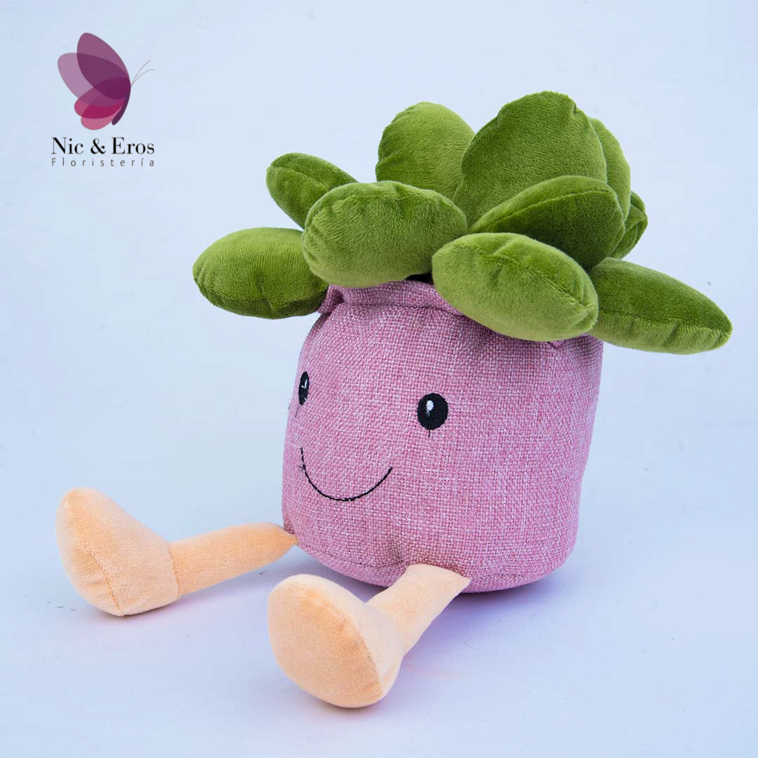 Suculenta de peluche