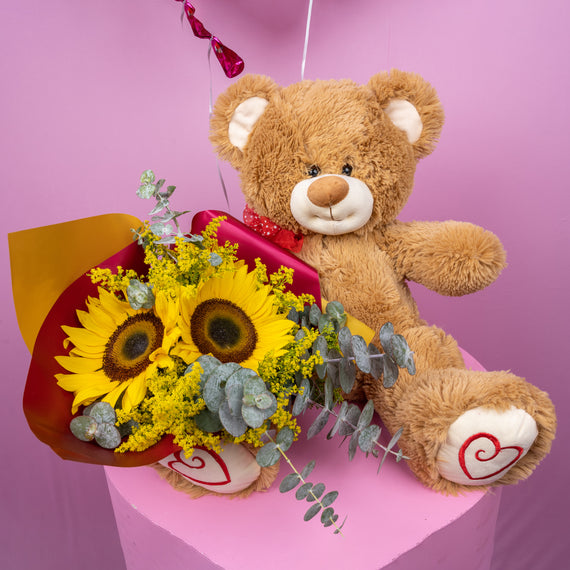 Combo Oso Peluche Parche 1