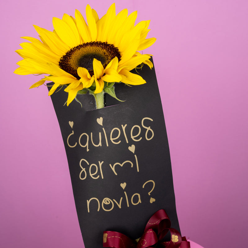 Girasol personalizado