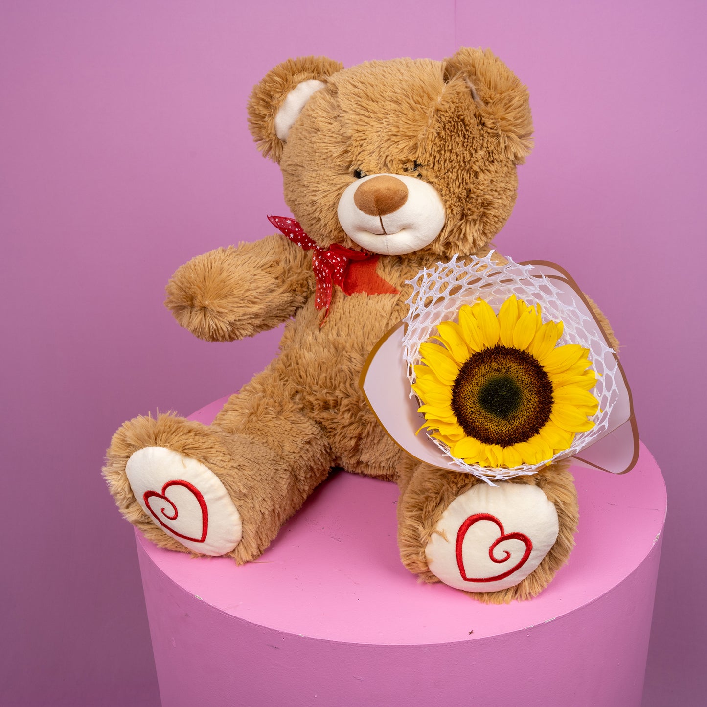 Combo Teddy Parche y girasol
