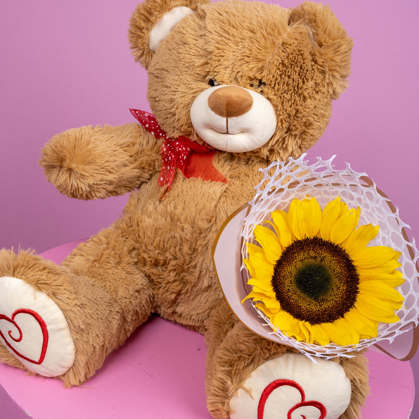 Combo Teddy Parche y girasol