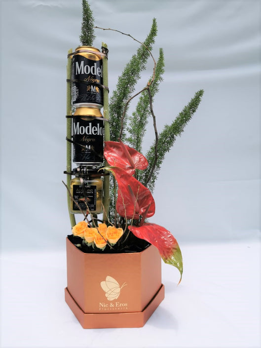 Anthurios con cerveza