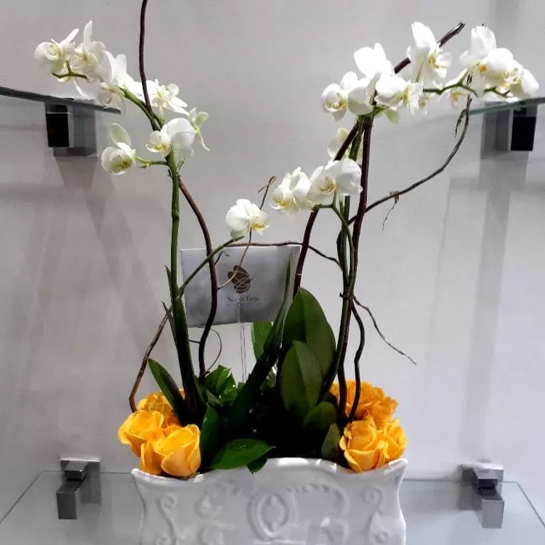 Orquídea doble en macetero