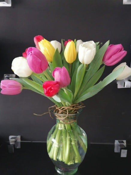 Tulipanes de colores